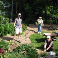 Garden wins City award