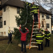 Our Tree is Up!