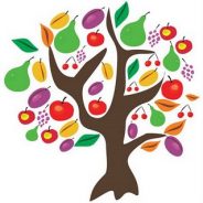 Tu b’Shevat 2017